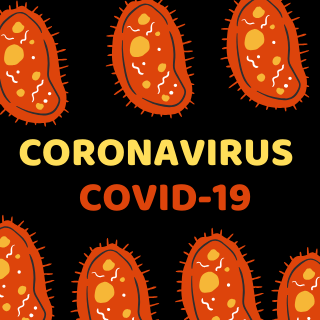 8 facts you need to know about the Coronavirus